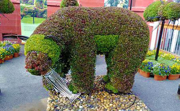 creative topiary themes unique yard decorations