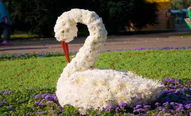 creative topiary themes unique yard decorations