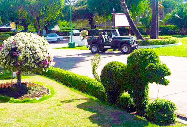 creative topiary themes unique yard decorations