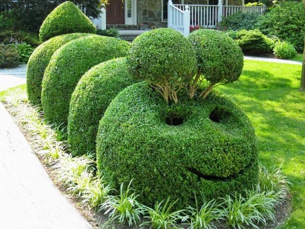 smiling caterpillar hedge design yard landscaping