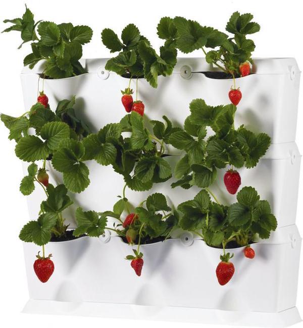 vertical planters wall decorating ideas