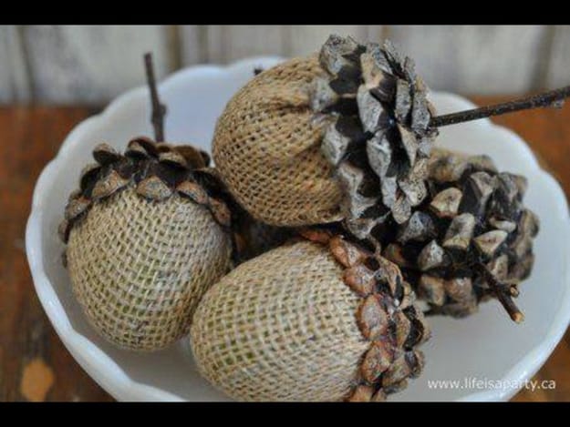 acorns crafts diy home decorations