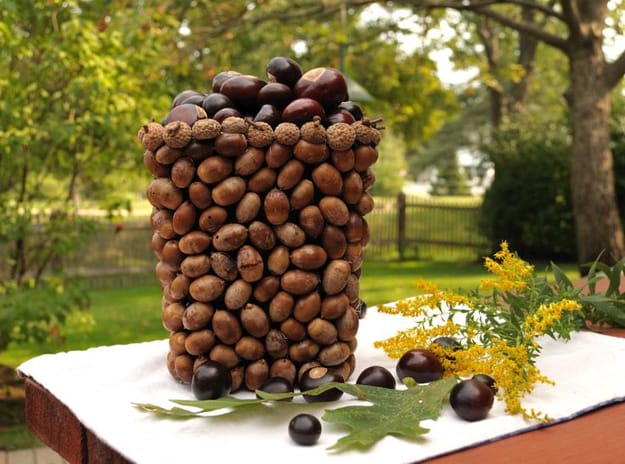 acorns crafts diy home decorations