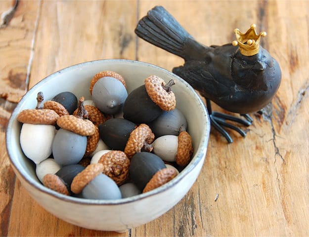 acorns crafts diy home decorations