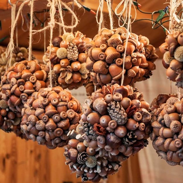 acorns crafts diy home decorations