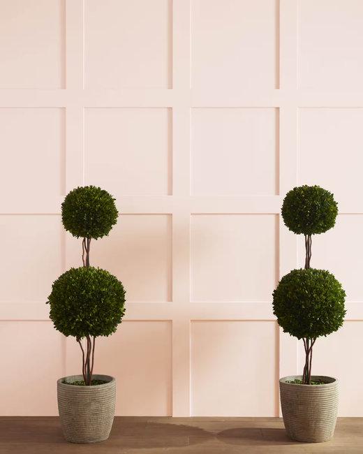 tender pink pastel wall