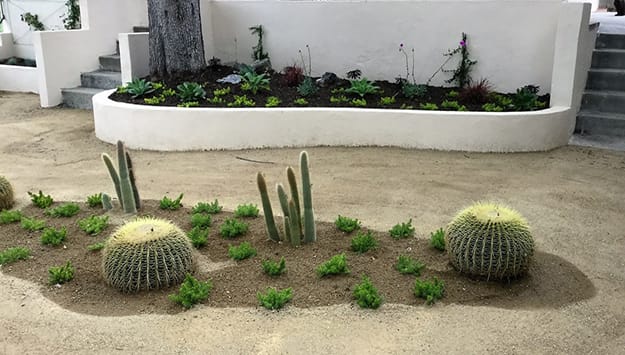 concrete wall sand garden bed
