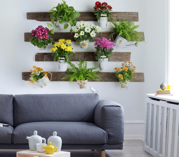 indoor plants wall decor
