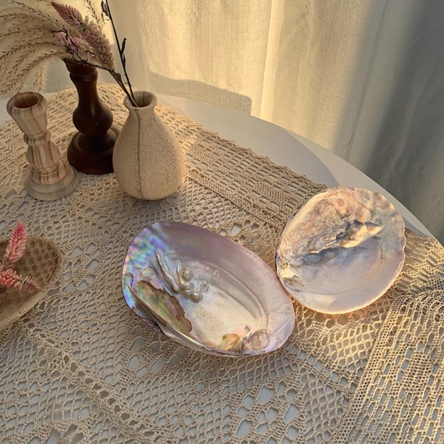 sea shells jewelry holders