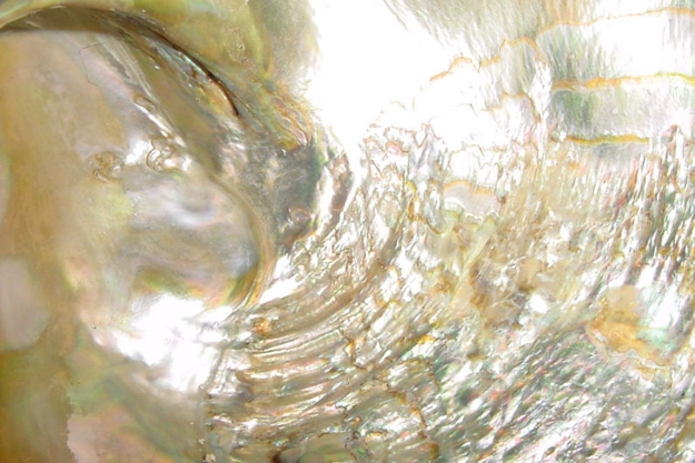 mother of pearl surface