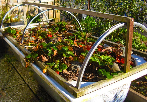 diy bathtub planters furniture garden features