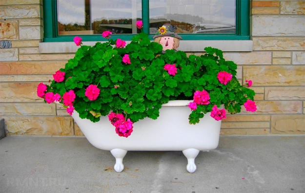 diy bathtub planters furniture garden features