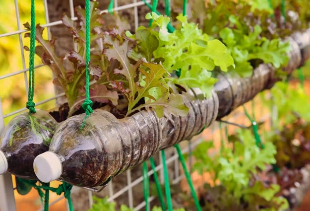diy plastic garden decorations planters