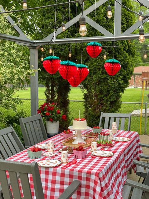 hanging berries summer party decorations