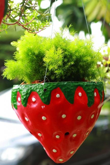strawberry planter