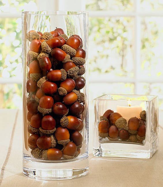 acorns crafts diy home decorations