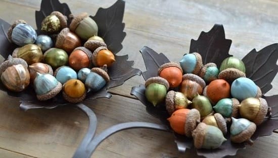 acorns crafts diy home decorations