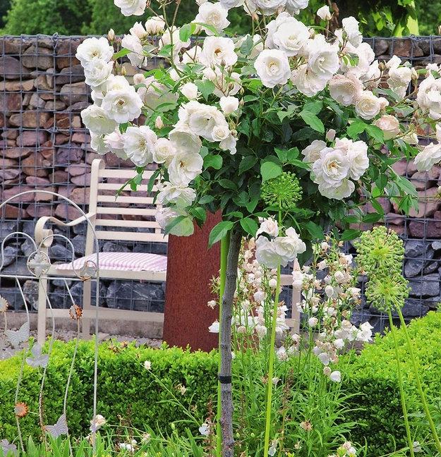 quiet spots being alone outdoor summer decorating ideas