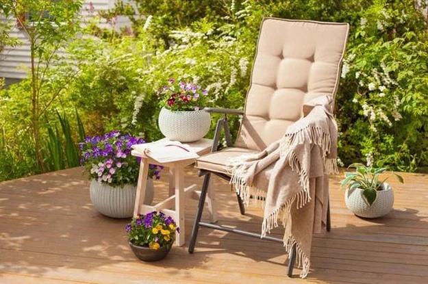 chair surrounded potted flowers