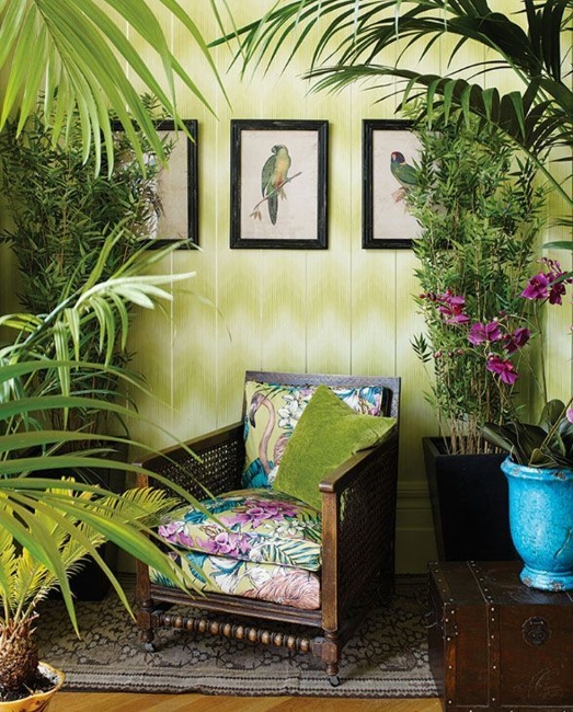 green wall color houseplants tropical themed fabrics