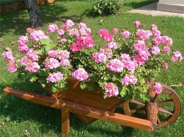 diy garden decorations unique planters