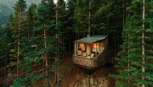 contemporary tree house design