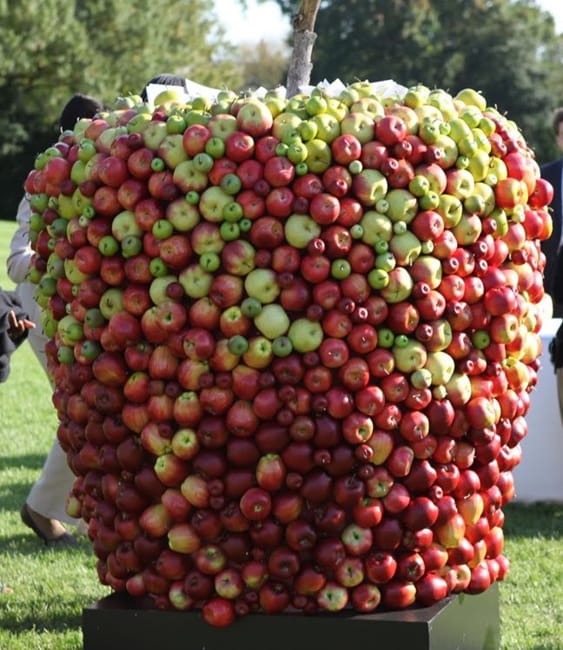 apple sculptures installations