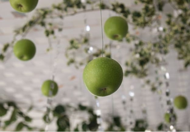 fresh apple snacks artful food decoration ideas