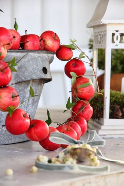 fresh apple snacks artful food decoration ideas