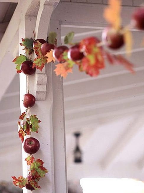 fresh apple garalnd