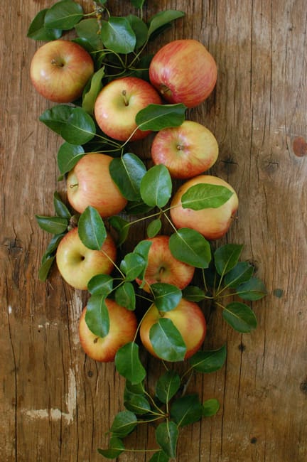 apple home furnishings yard decorations