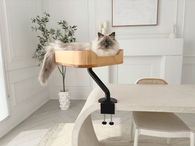 wooden cat bed