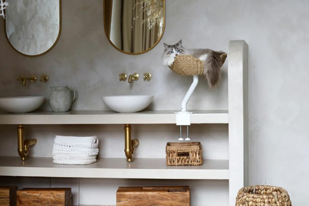 basket cat bed