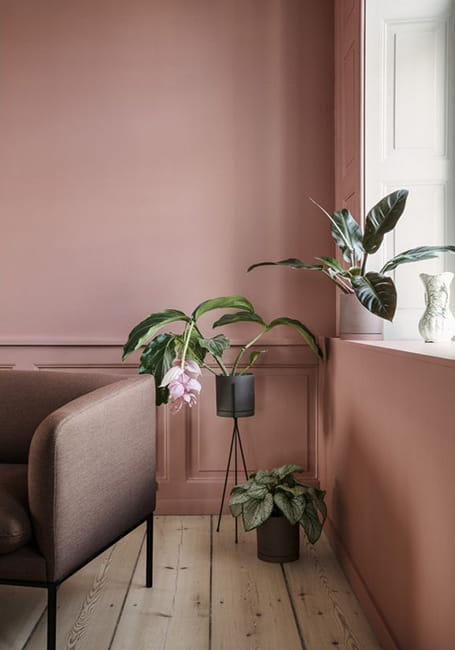 houseplants modern sofa