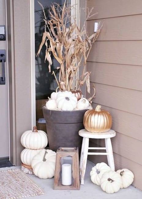 white and golden pumpkins