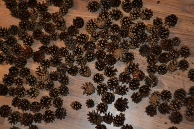 how to make diy pinecone basket tutorial