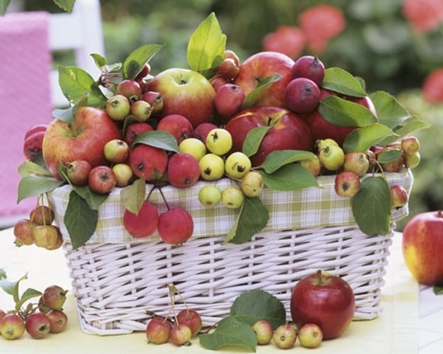 apples table decorations fall centerpieces