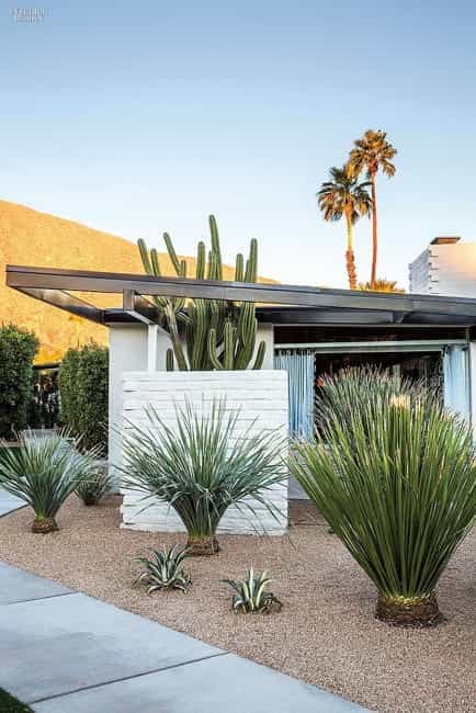 desert plants landscaping ideas