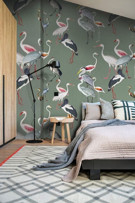 green wallpaper beautiful birds