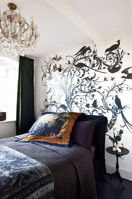 black white wallpaper bird images