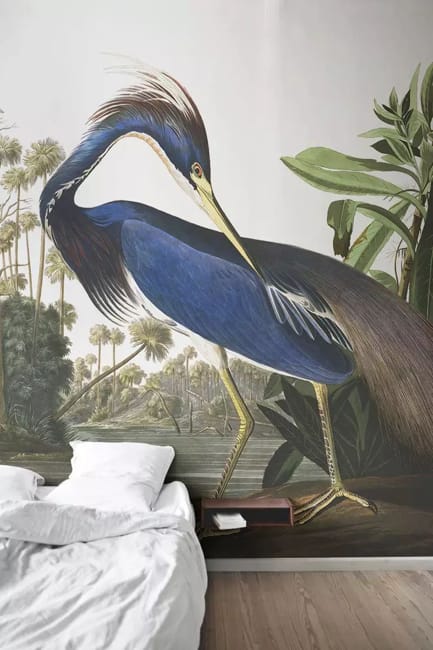 large bird images modern wallpaper