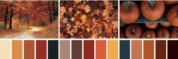 fall leaves colors