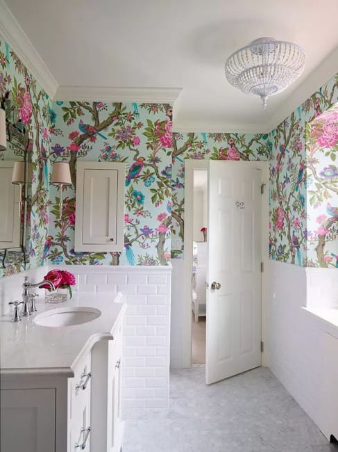 birds wallpaper designs room decorating ideas