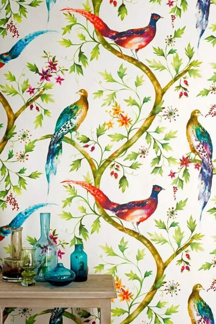 birds wallpaper designs room decorating ideas