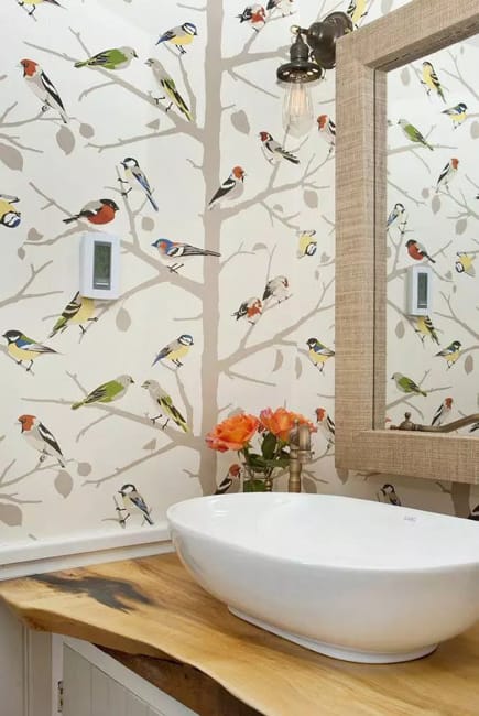 birds wallpaper designs room decorating ideas