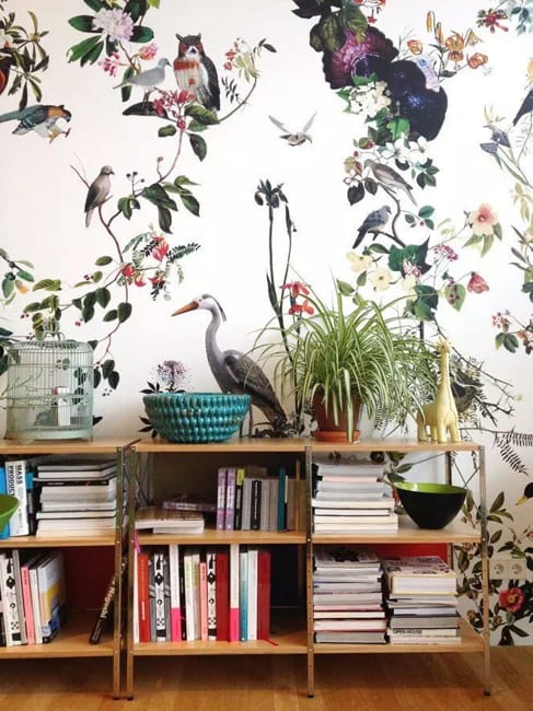 birds wallpaper designs room decorating ideas