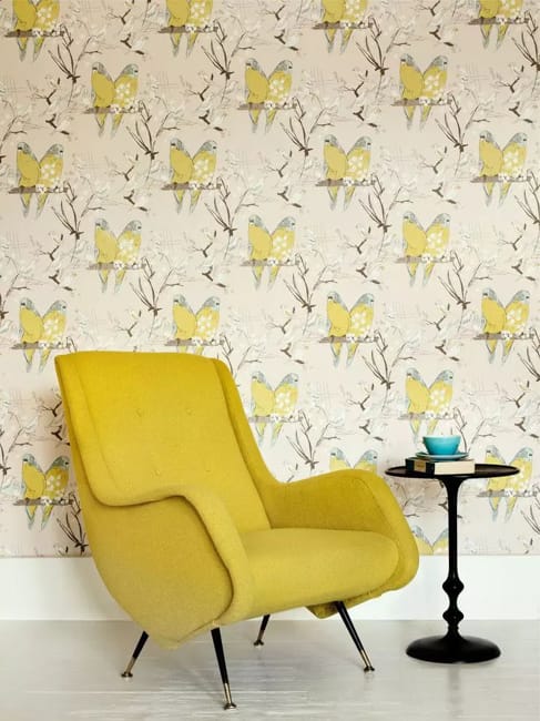 birds wallpaper designs room decorating ideas