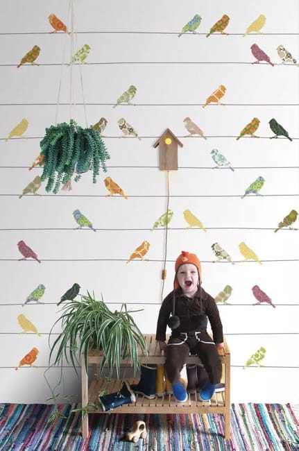 birds wallpaper designs room decorating ideas