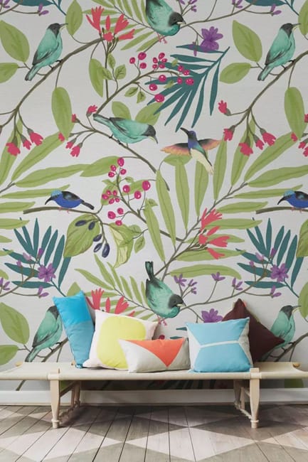 birds wallpaper designs room decorating ideas