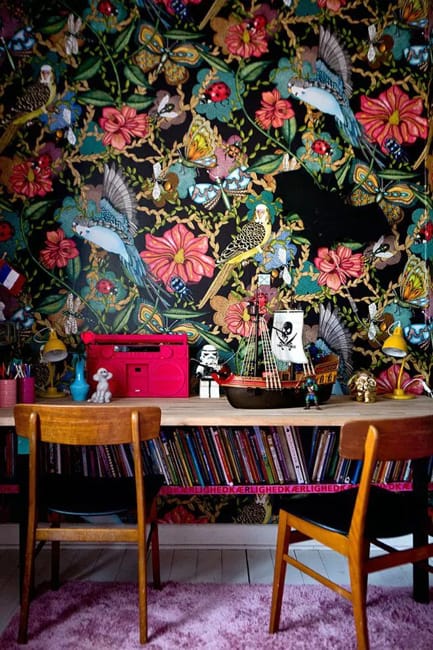 black wallpaper colorful bird images